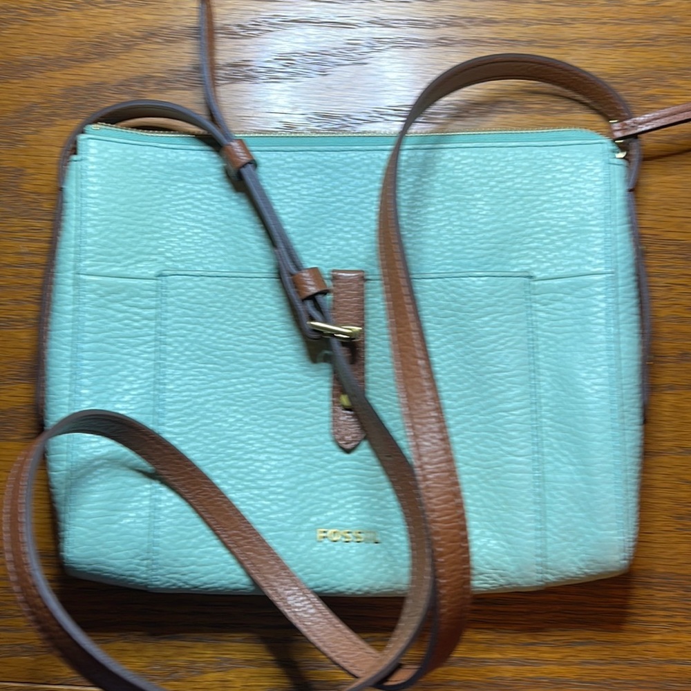 Fossil mint green crossbody